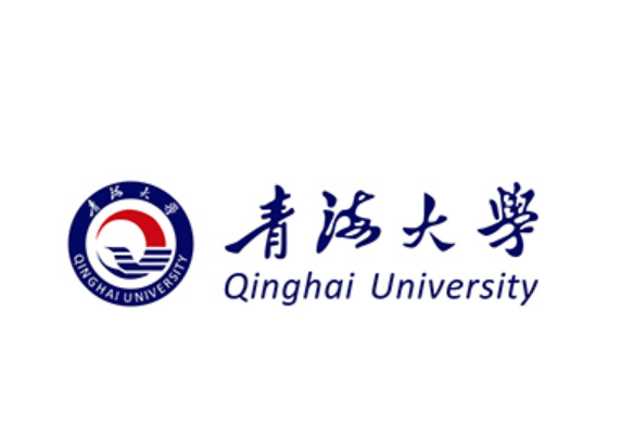 青海大学订购一套臭氧催化评价装置